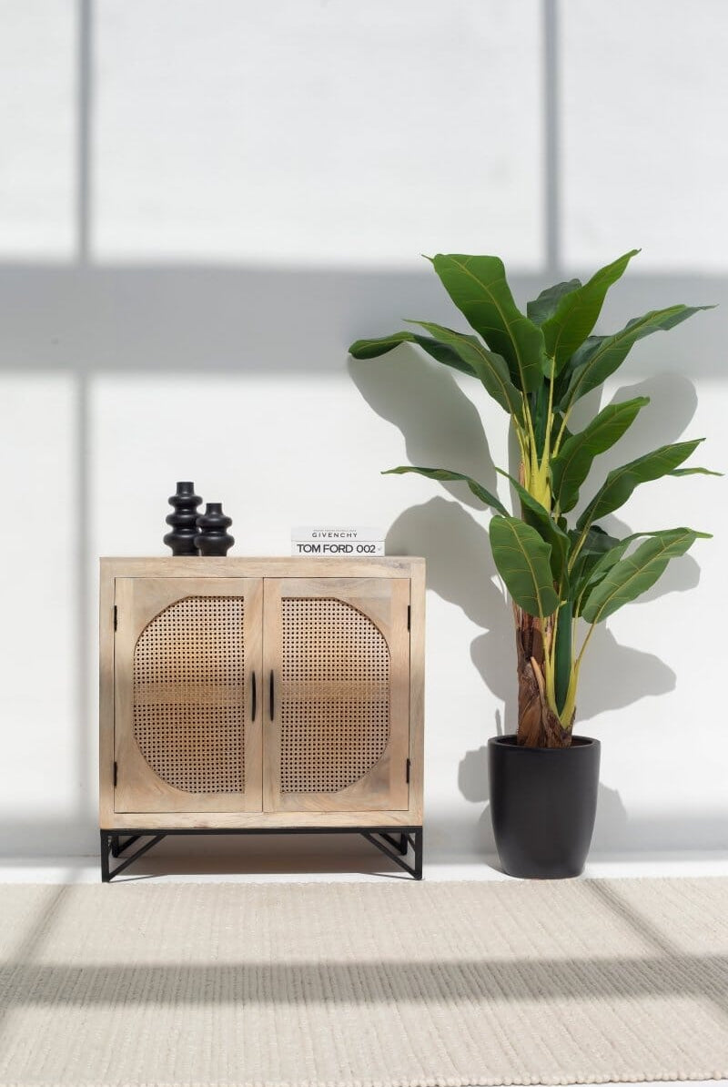 Janet Two Door Rattan Sideboard
