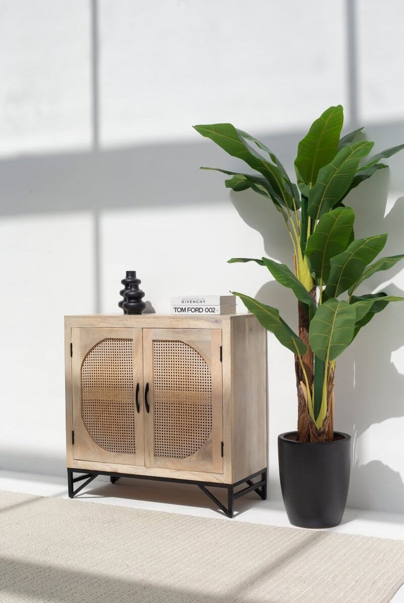 Janet Two Door Rattan Sideboard