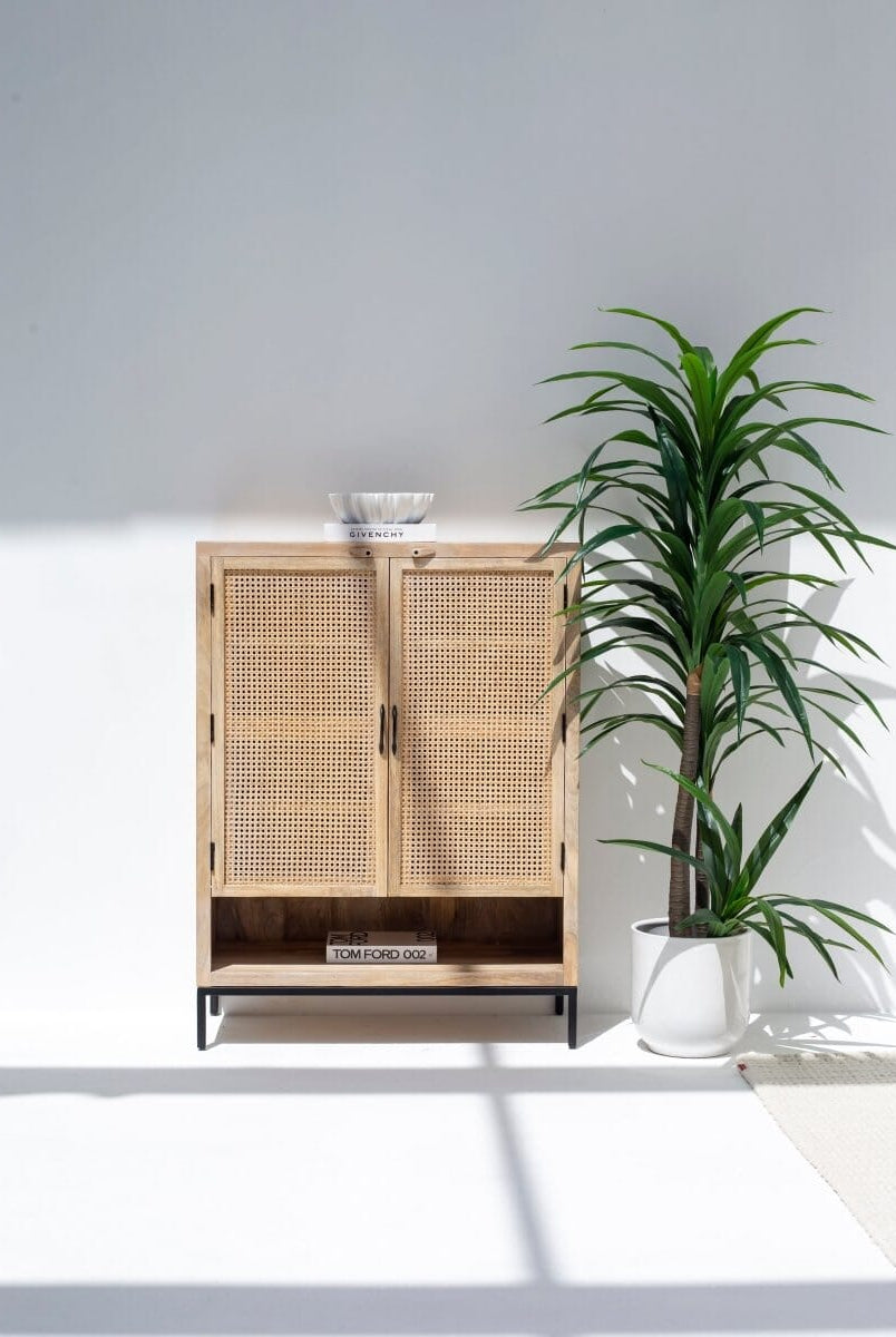 Wesley Two Doors Rattan Cabinet & Sideboard