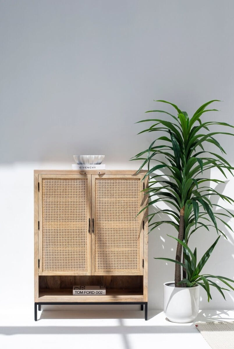 Wesley Two Doors Rattan Cabinet & Sideboard