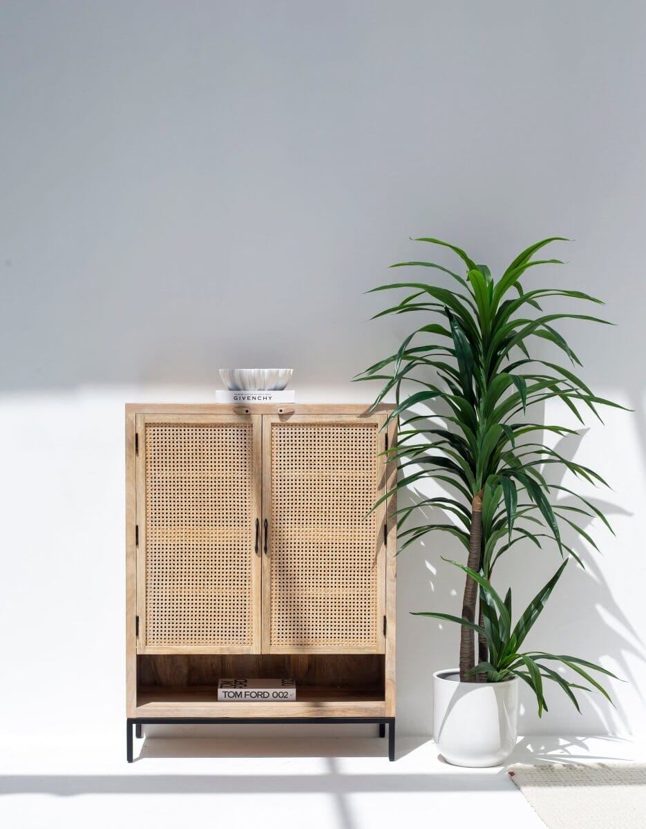 Wesley Two Doors Rattan Cabinet & Sideboard