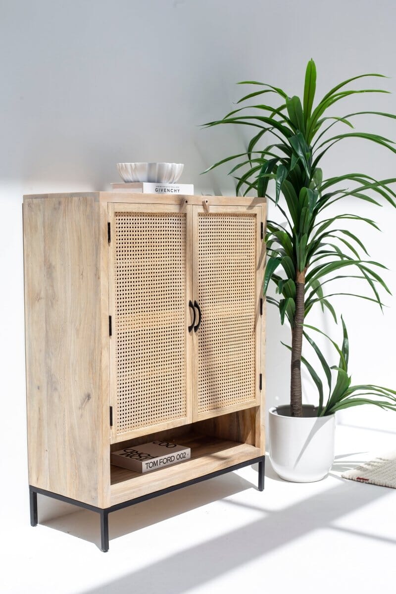 Wesley Two Doors Rattan Cabinet & Sideboard