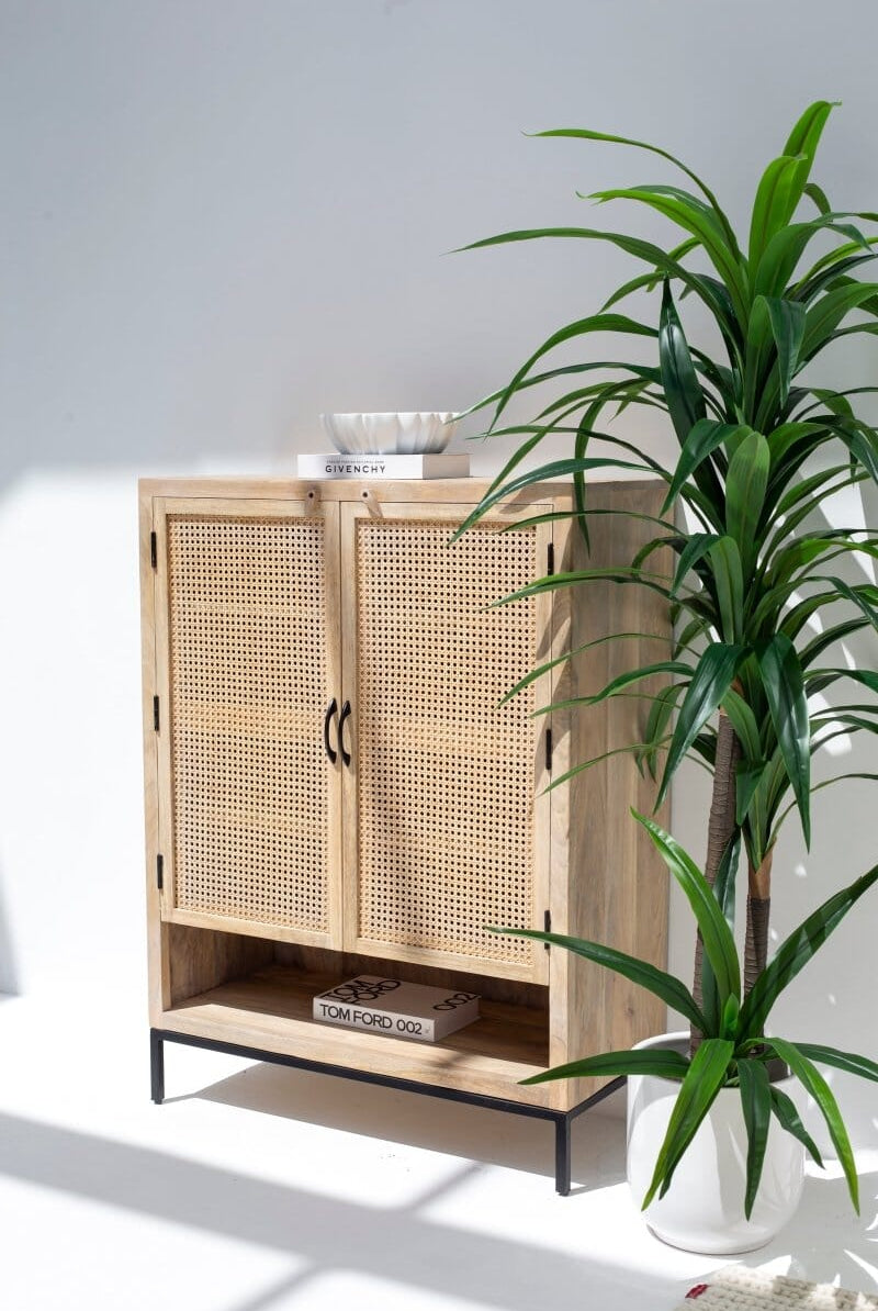 Wesley Two Doors Rattan Cabinet & Sideboard