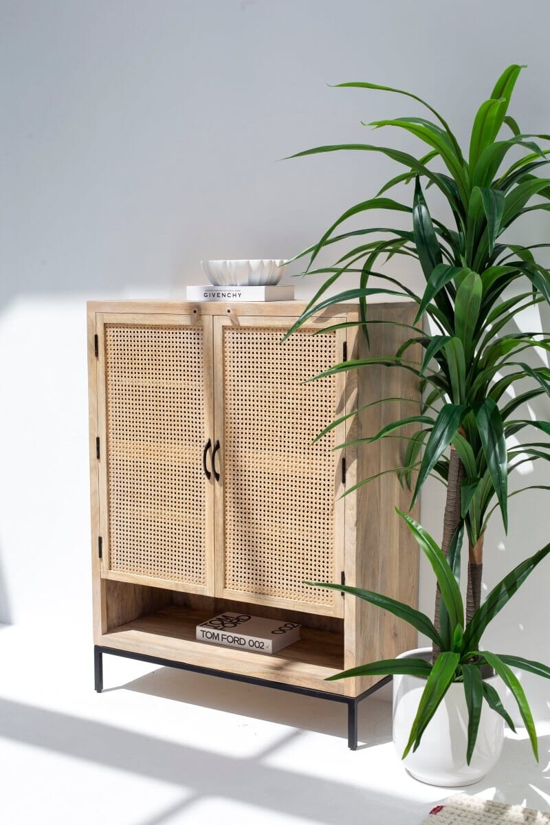 Wesley Two Doors Rattan Cabinet & Sideboard