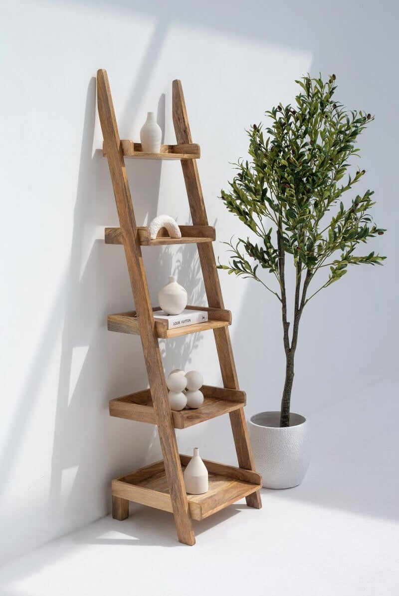 Mango Wood Ladder Shelves