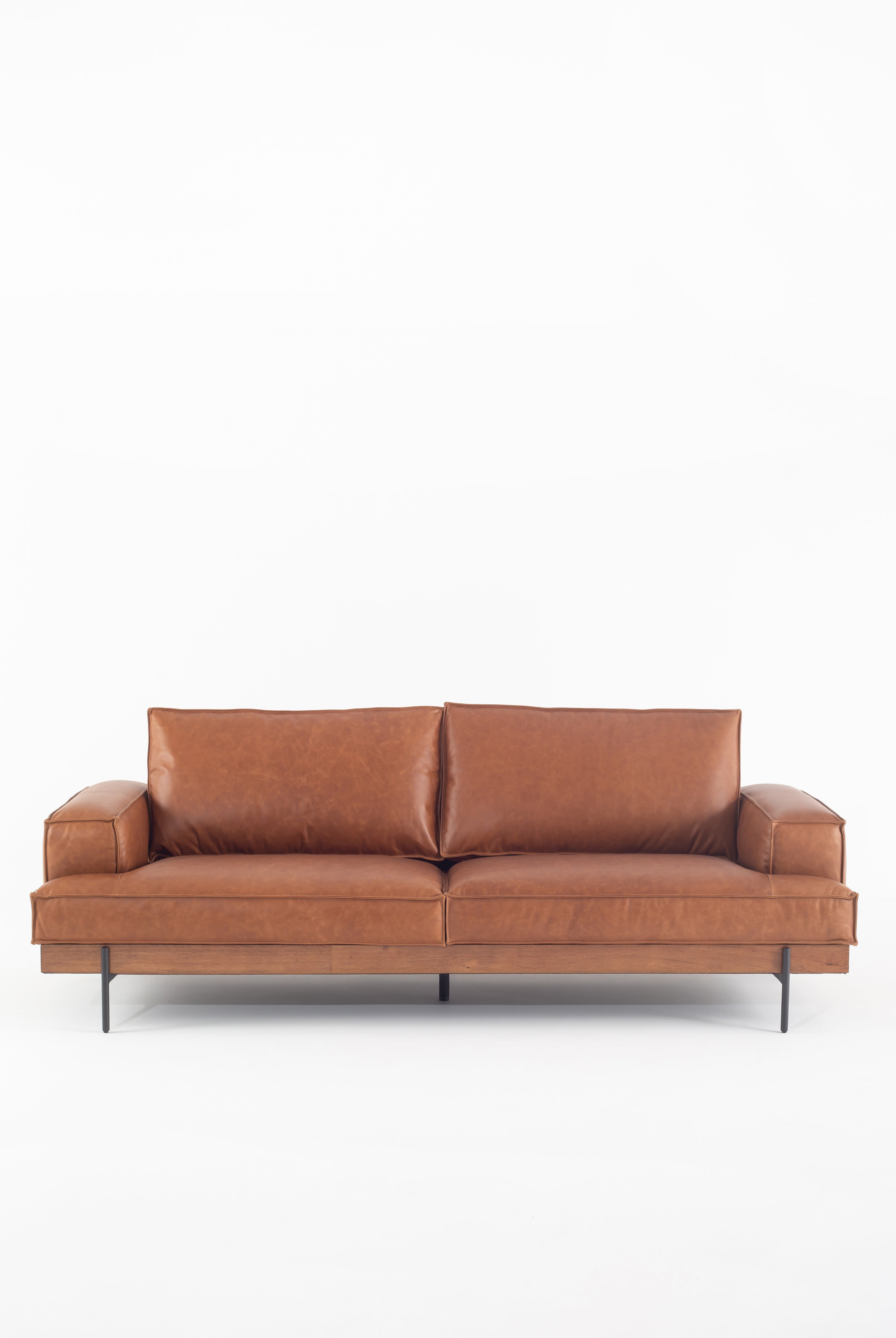 Dobrina Leather Sofa