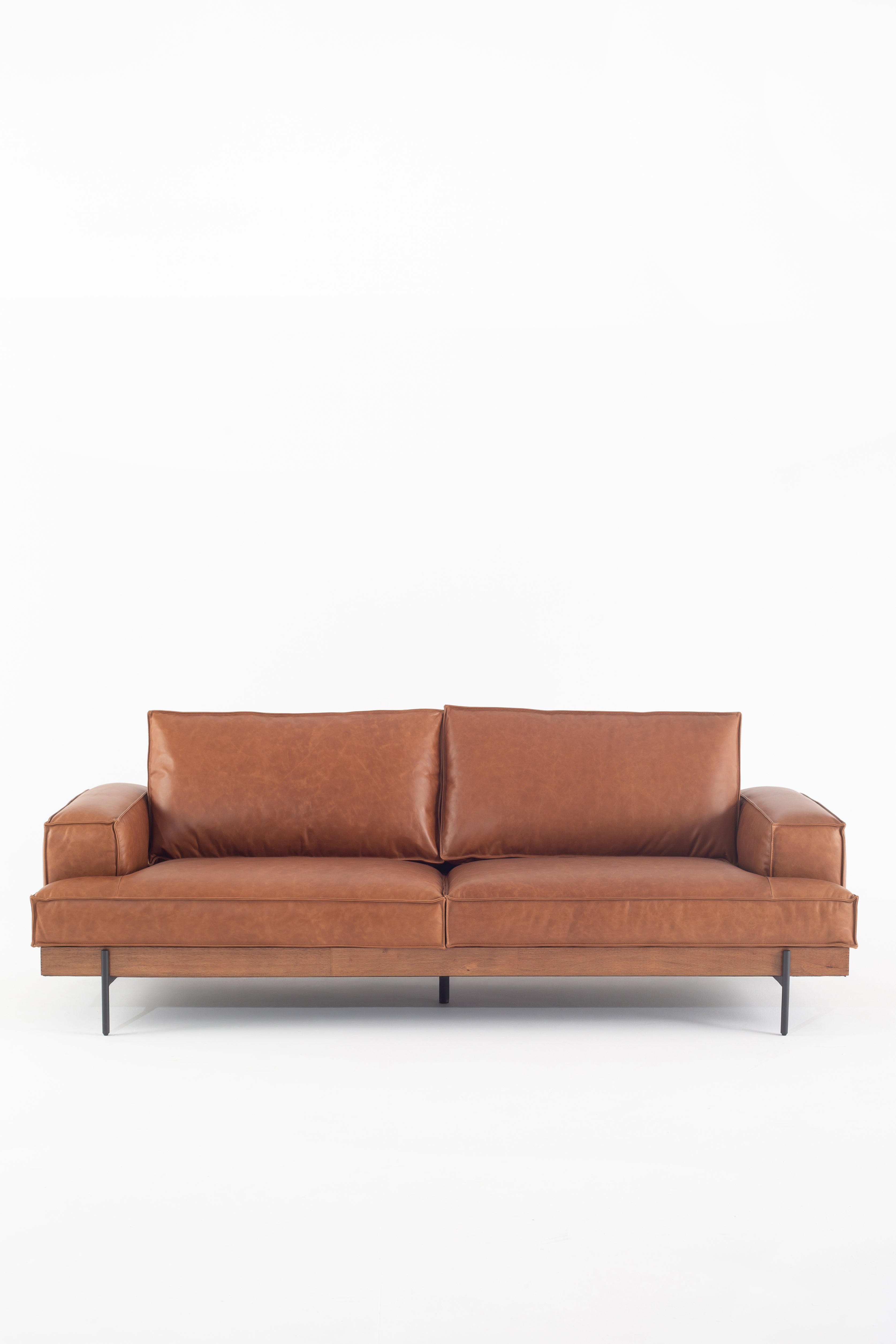 Dobrina Leather Sofa