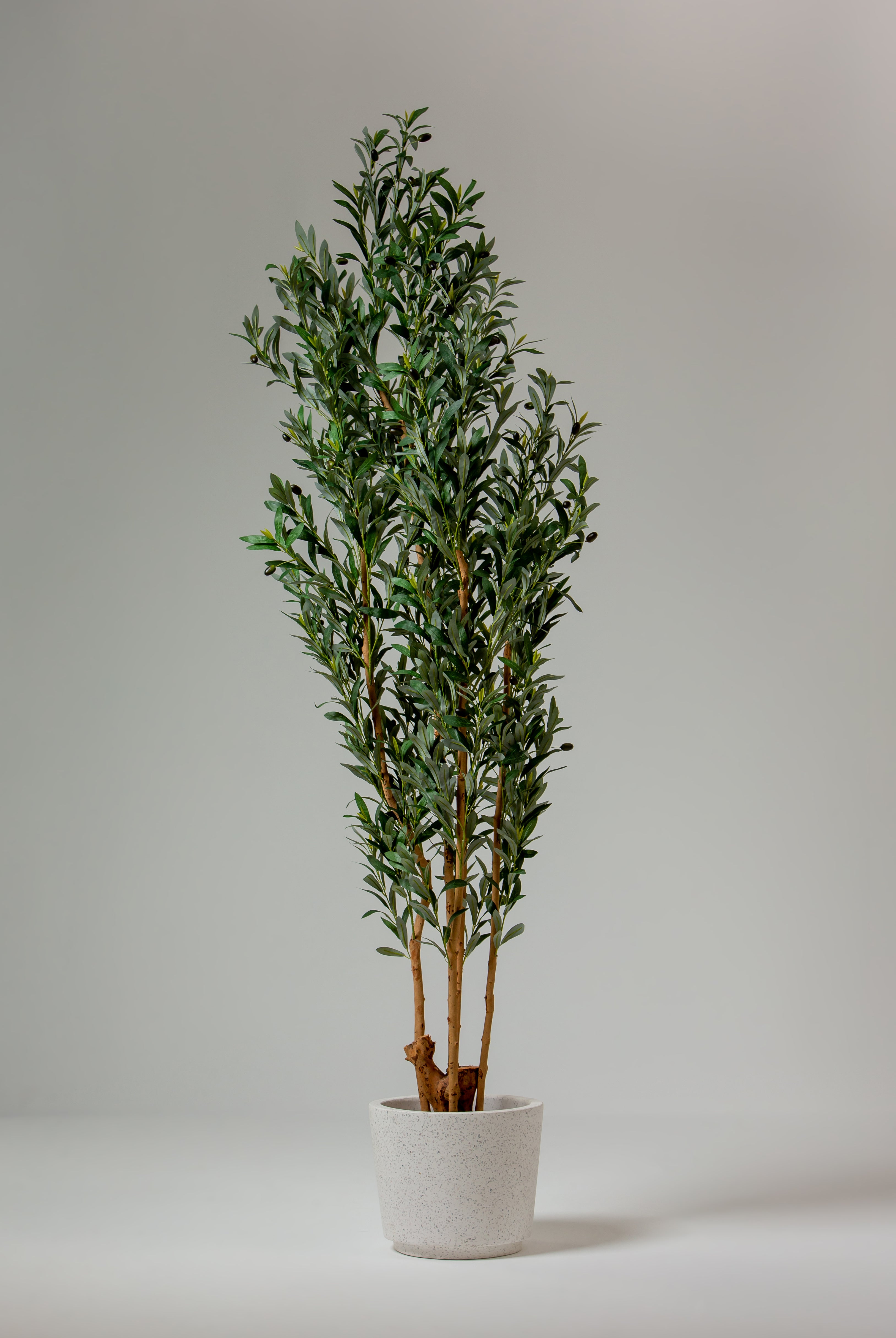 Artificial Olive Tree