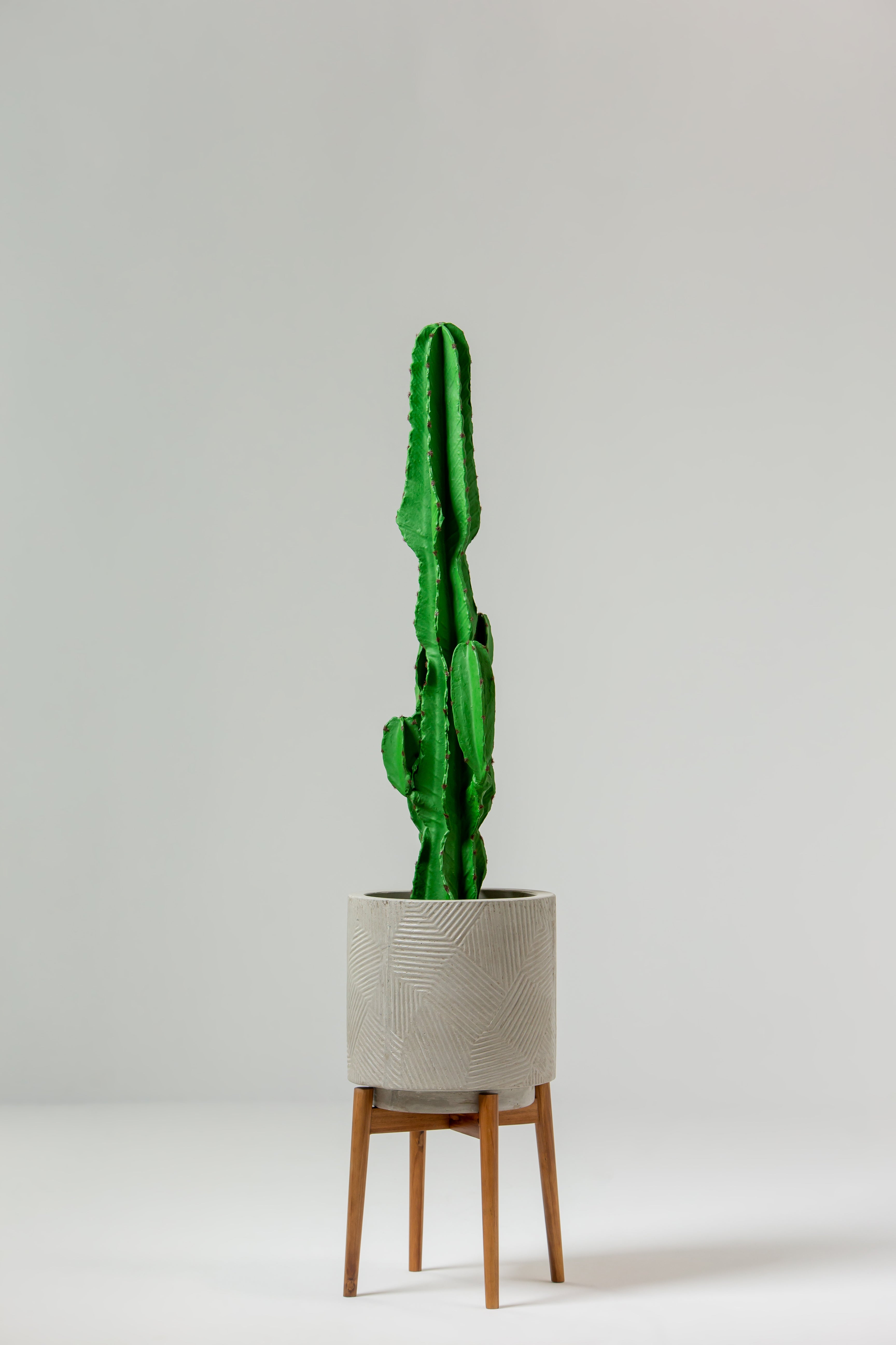 Artificial Cactus Plant