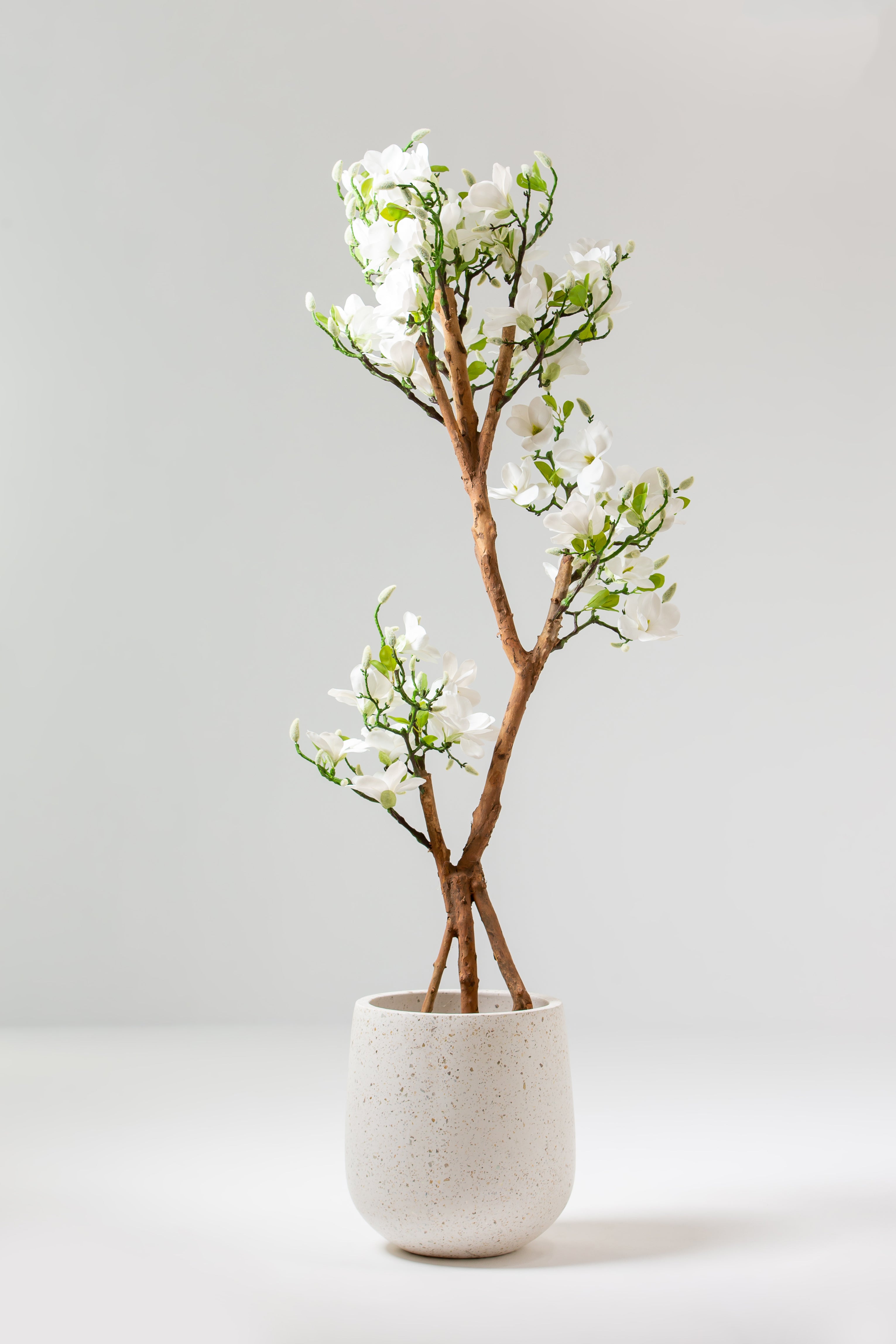 White Artificial Magnolia Plant with Natural Wooden Trunk