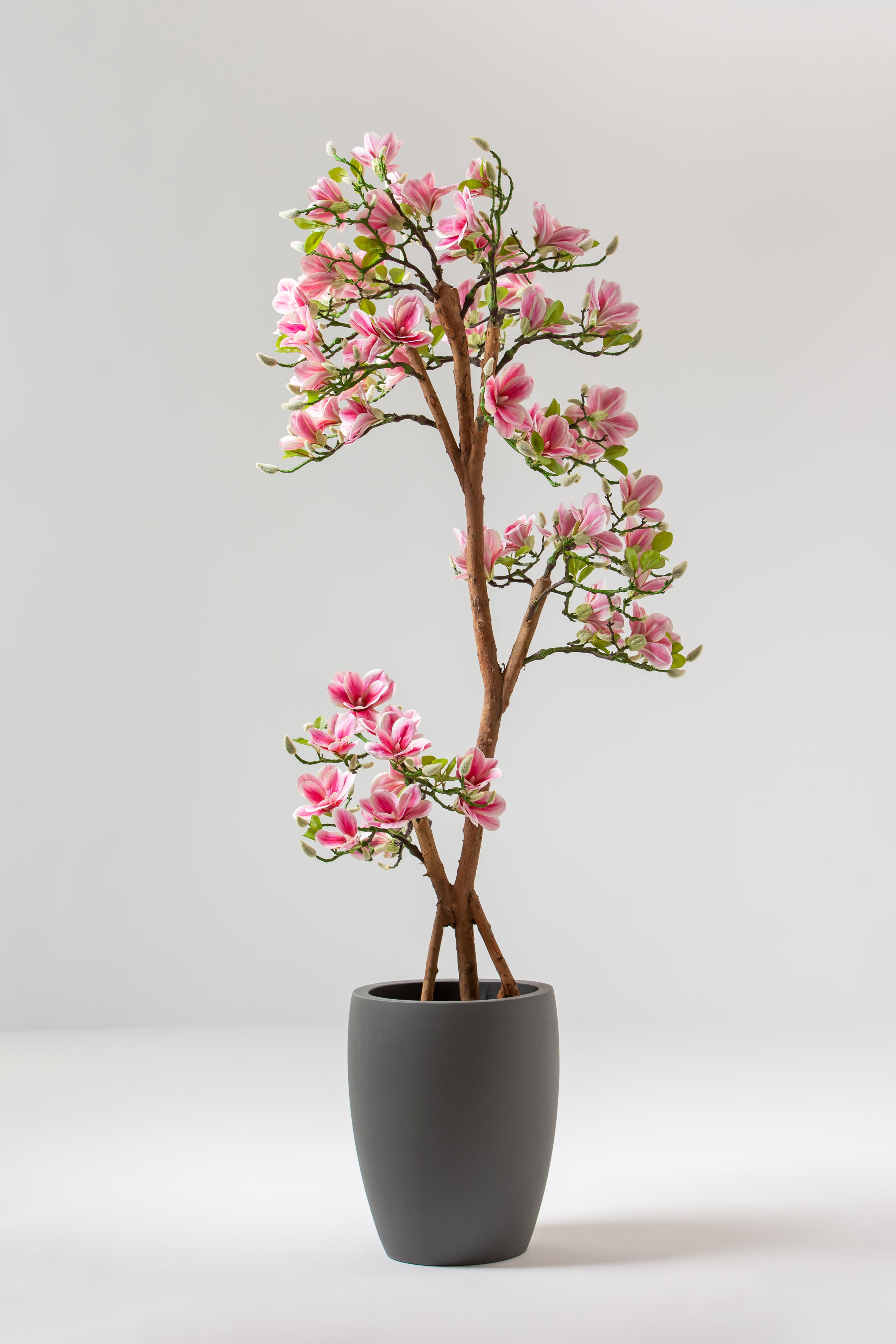 Magnolia Artificial Plant with Natural Wooden Trunk