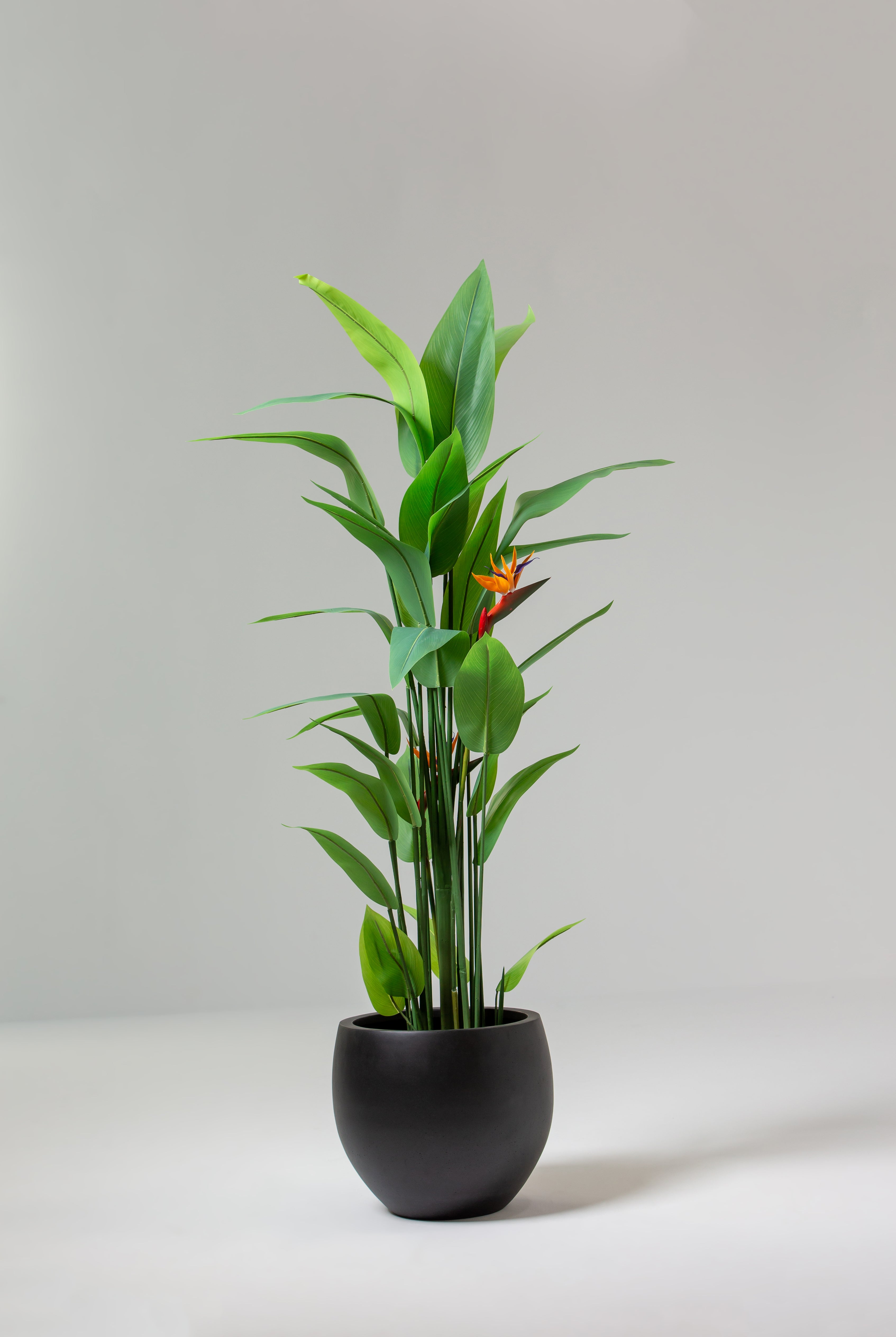 Bird of Paradise Artificial Plant