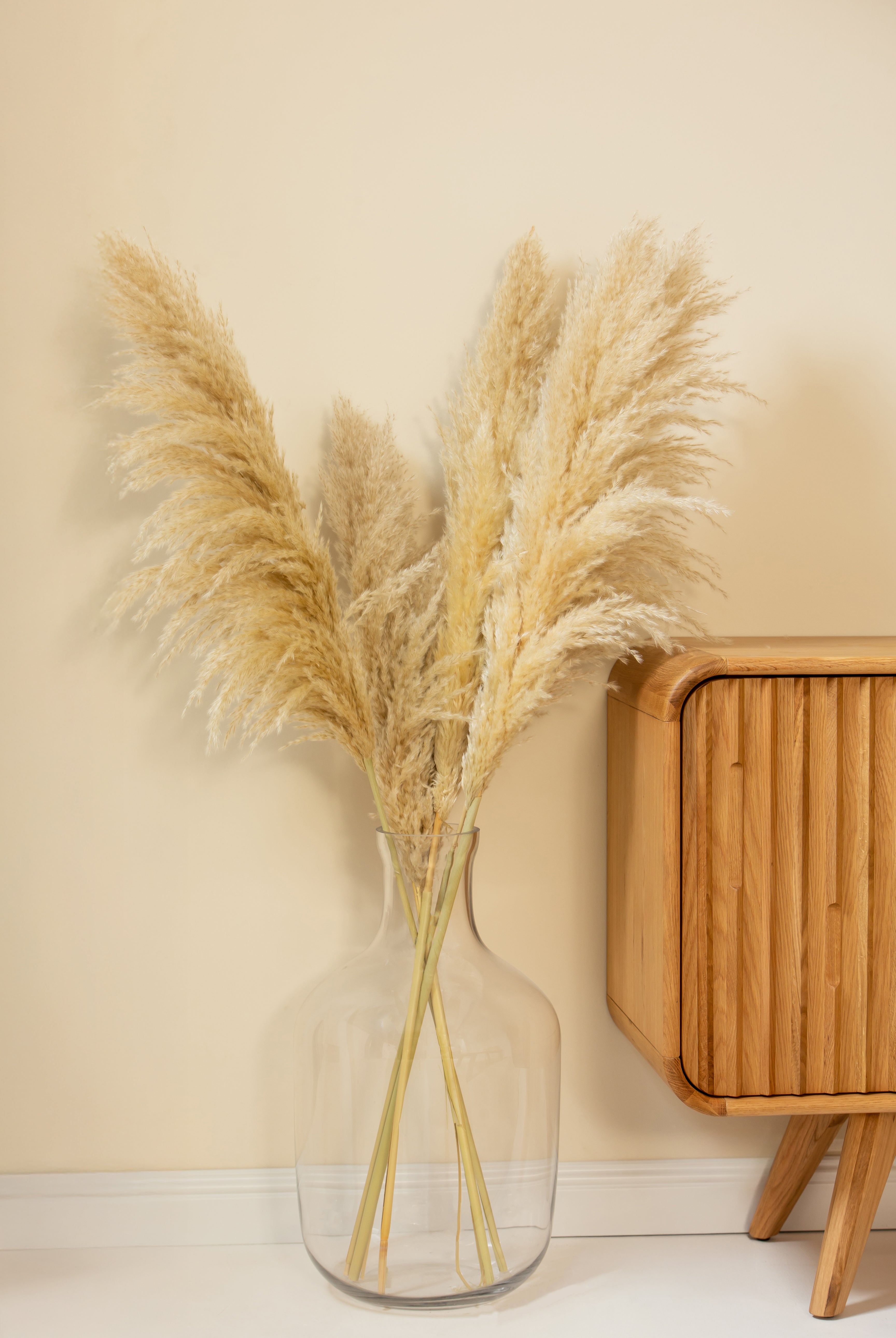 Serene Transparent Vase