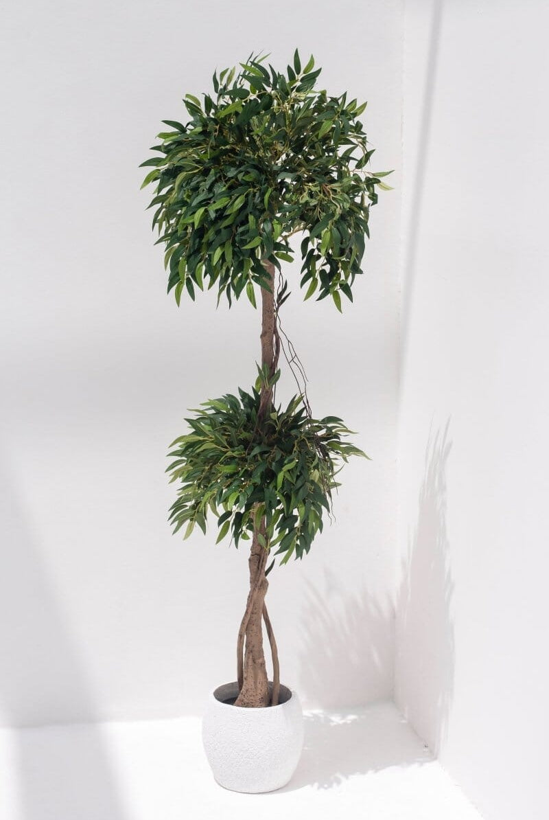 Ficus Maclellandii Artificial Plant