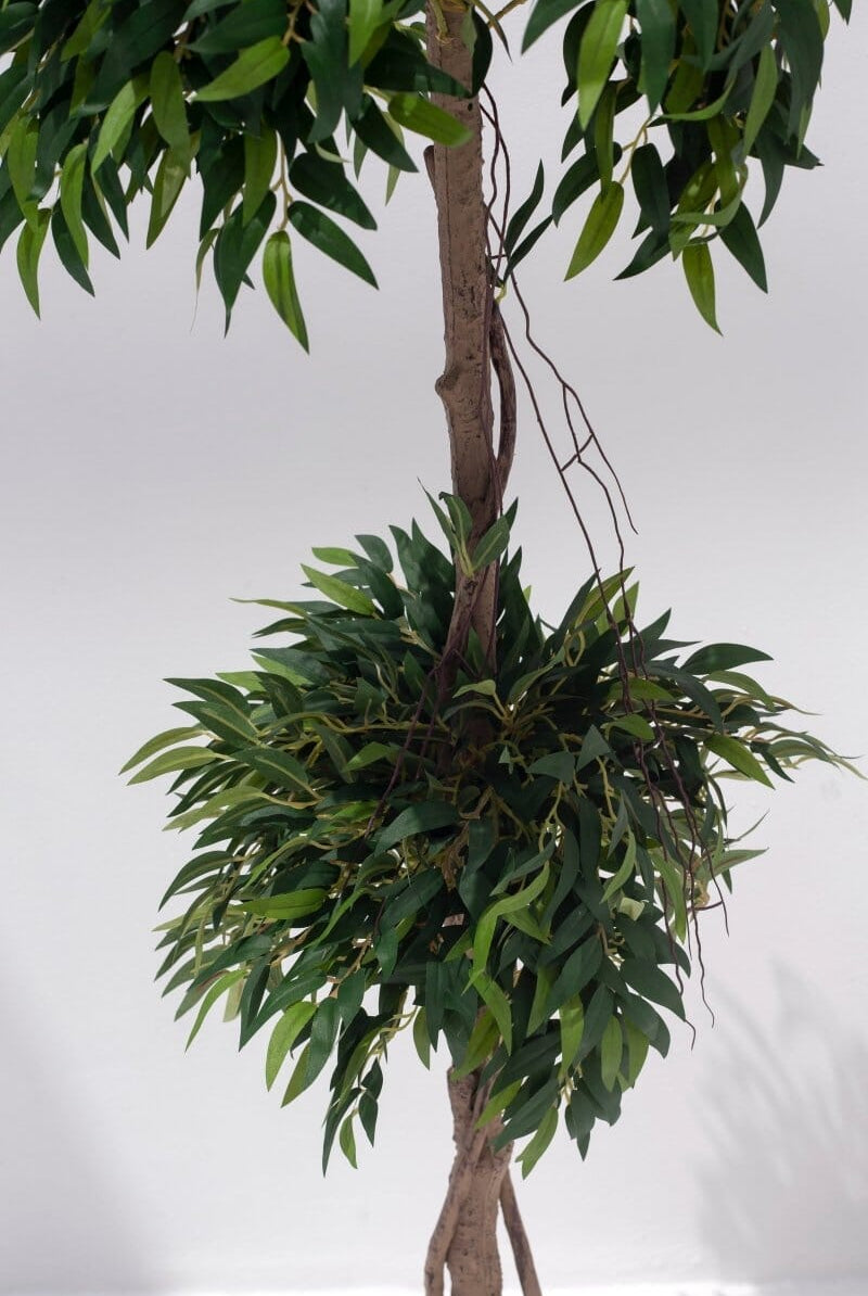 Ficus Maclellandiiificial Plant (Pot not included)