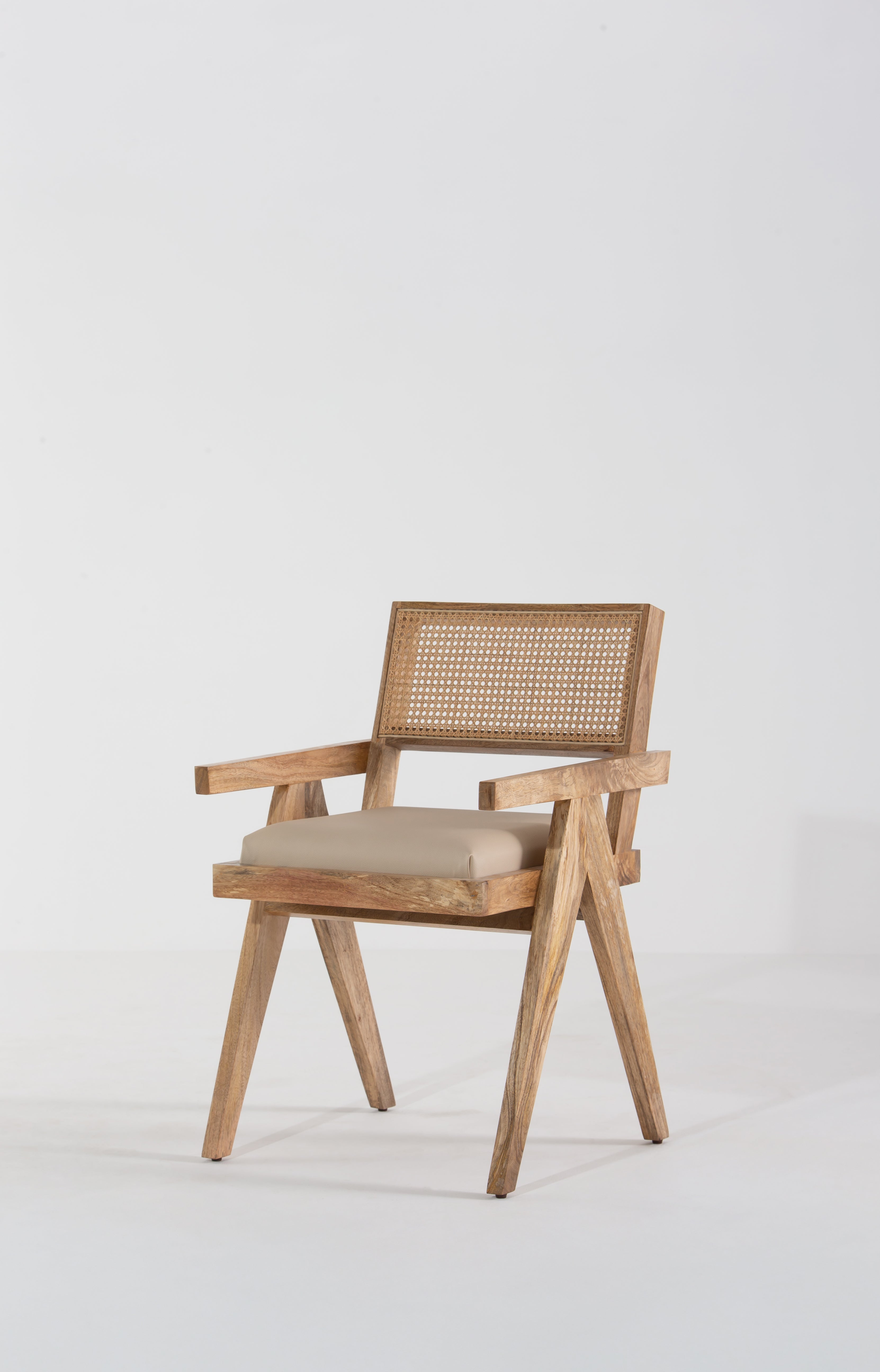 Dianora Rattan Chair