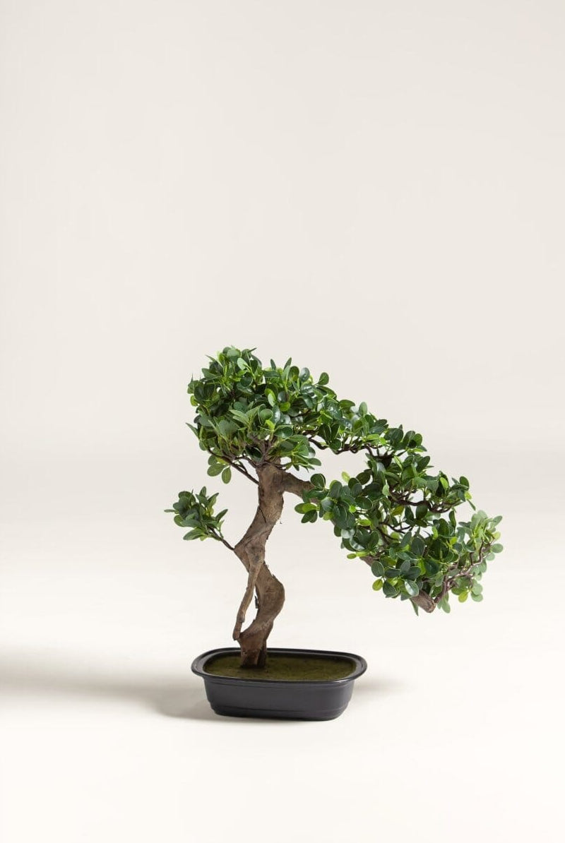 Ficus Microcarpa Bonsai Artificial Plant