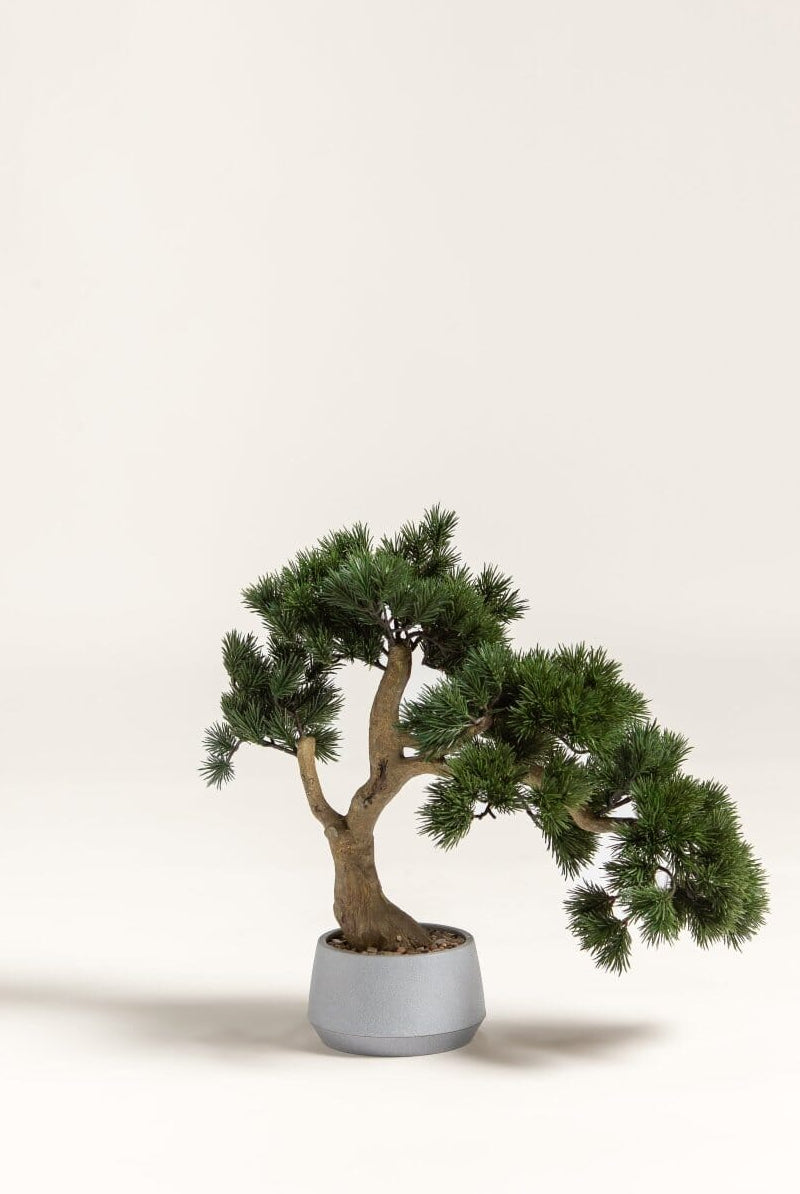 Pinus Thunbergii Bonsai Artificial Plant
