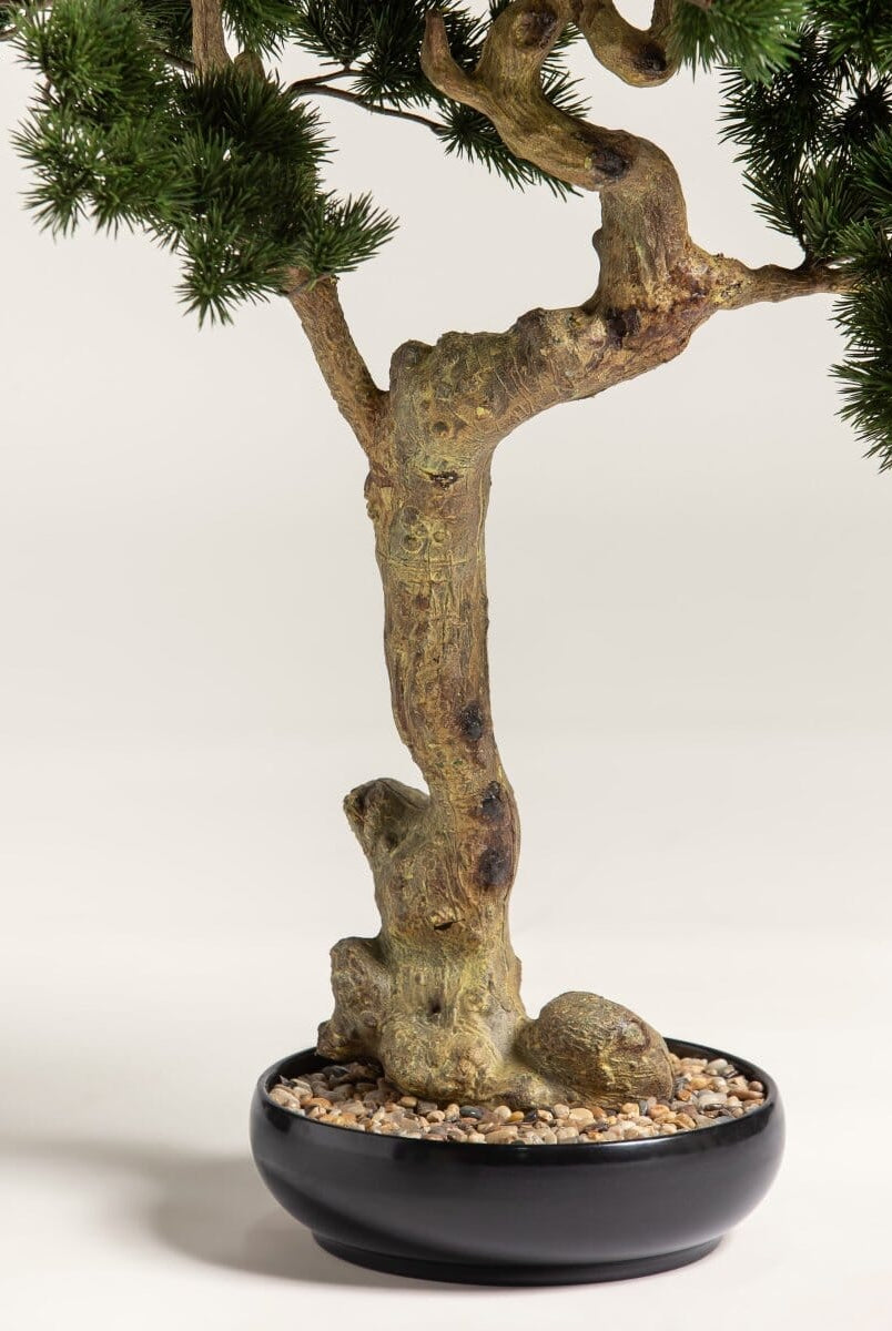 Pinus Mugo Bonsaiificial Plant