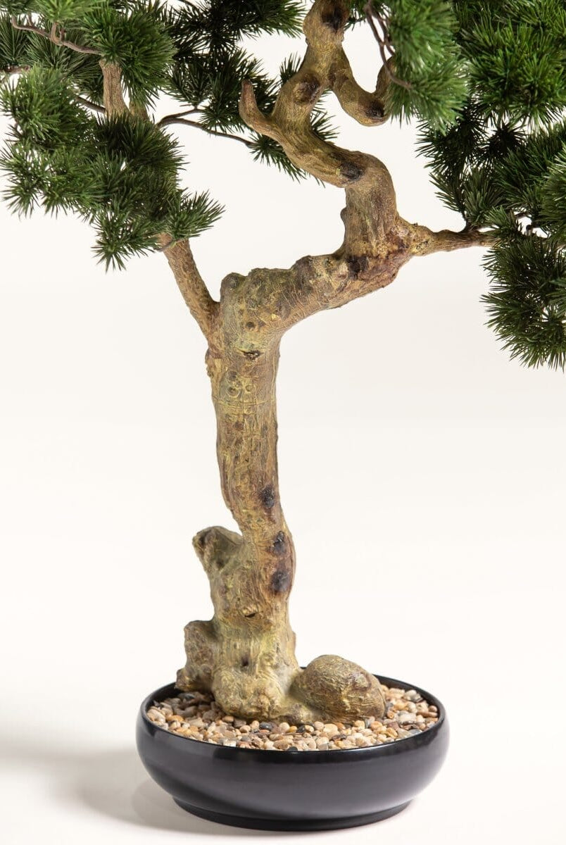 Pinus Mugo Bonsaiificial Plant