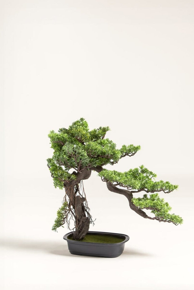 Podocarpus Macrophyllus Bonsai Artificial Plant