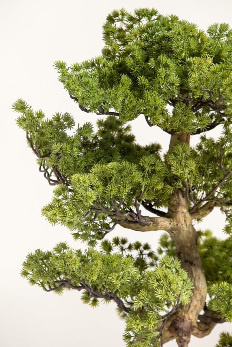 Pinus Thunbergii Bonsaiificial Plant II
