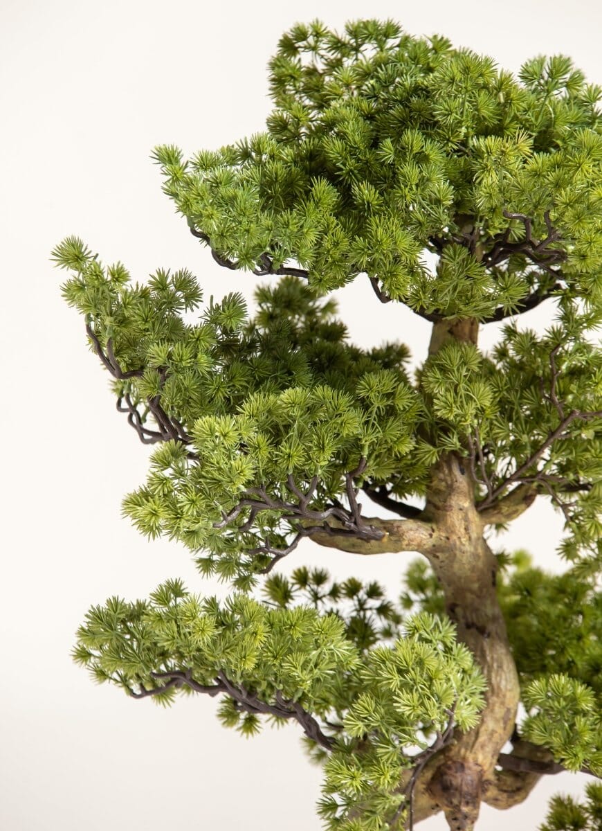 Pinus Thunbergii Bonsaiificial Plant II