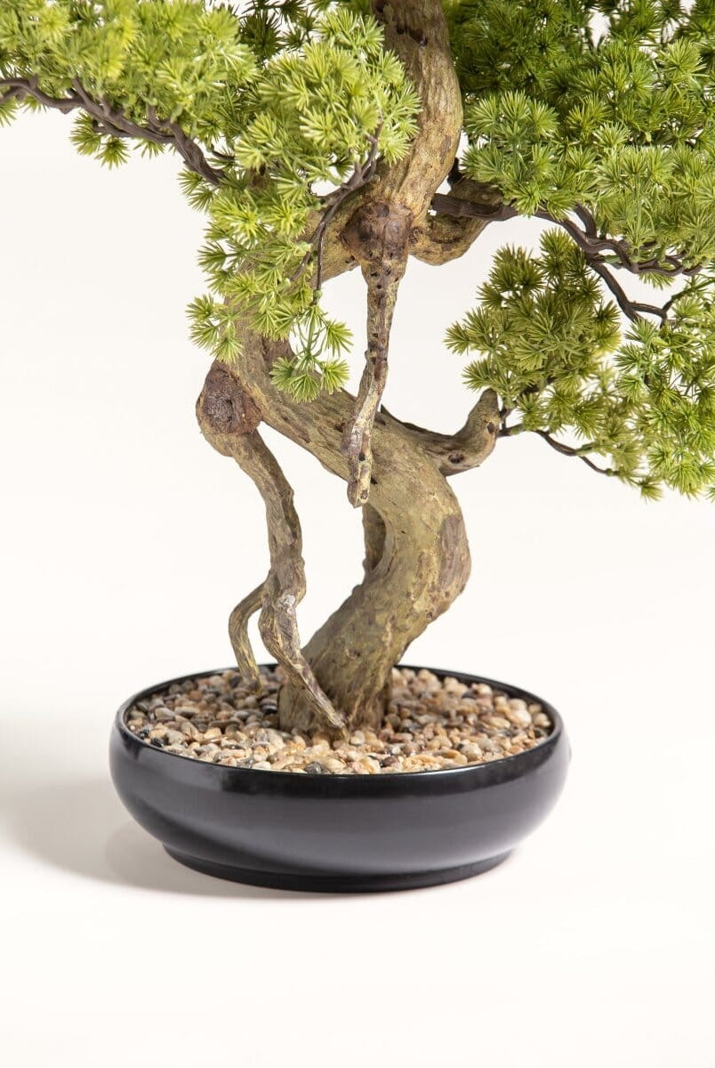 Pinus Thunbergii Bonsaiificial Plant II