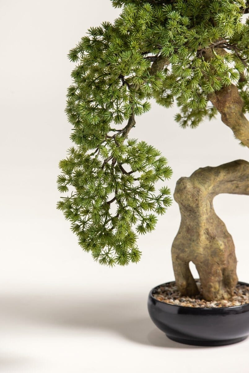 Pinus Thunbergii Bonsaiificial Plant III