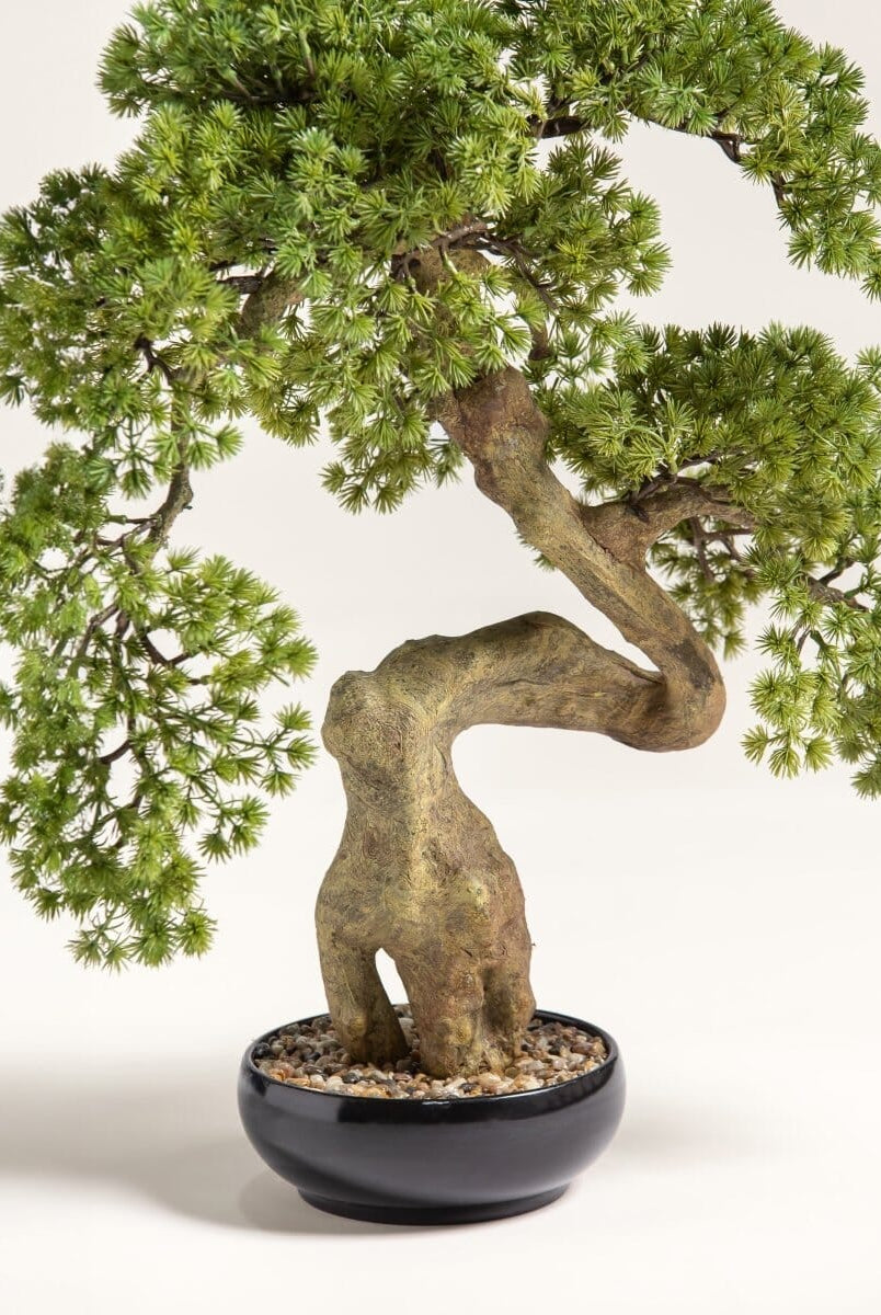 Pinus Thunbergii Bonsaiificial Plant III