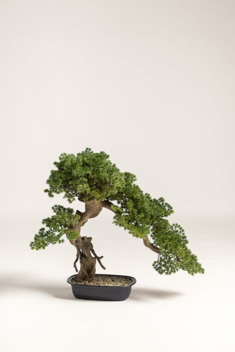 Juniperus Procumbens Bonsai Artificial Plant