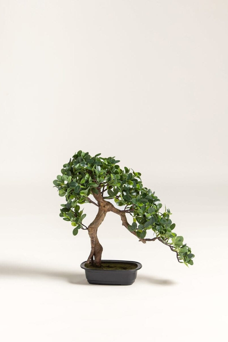 Ficus Microcarpa Bonsai Artificial Plant II