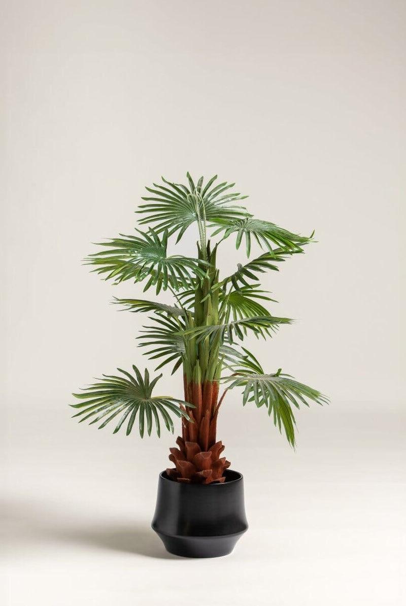 Rhapis Excelsa Artificial Plant
