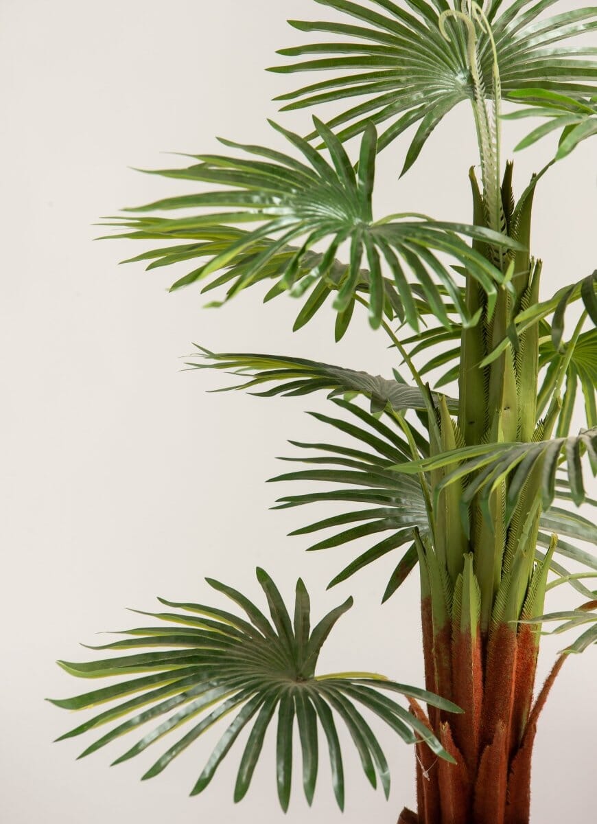 Rhapis Excelsaificial Plant (Pot not included)