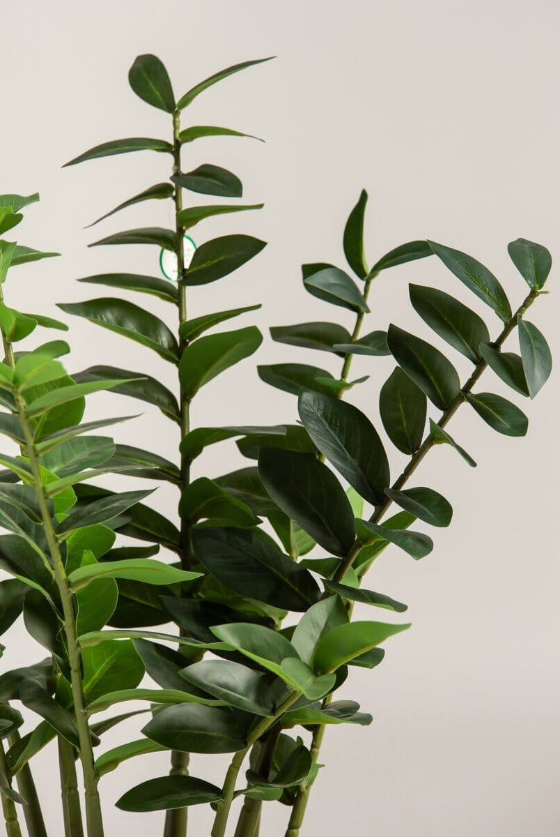 Zamioculcas Zamiifoliaificial Plant (Pot not included)