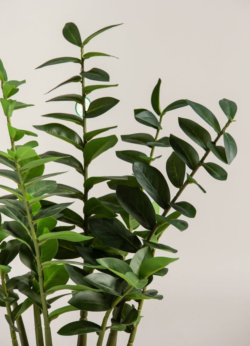 Zamioculcas Zamiifoliaificial Plant (Pot not included)