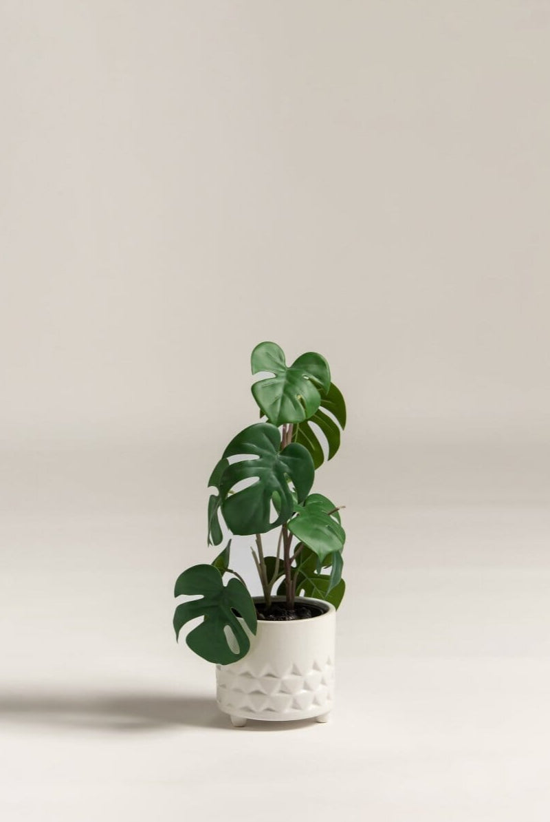 Monstera Deliciosa Artificial Plant