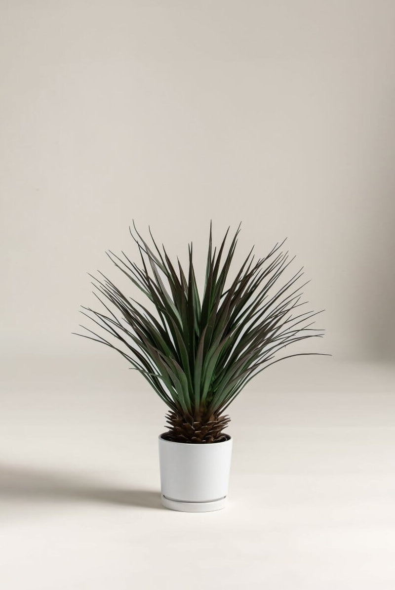 Yucca Gloriosa Artificial Plant