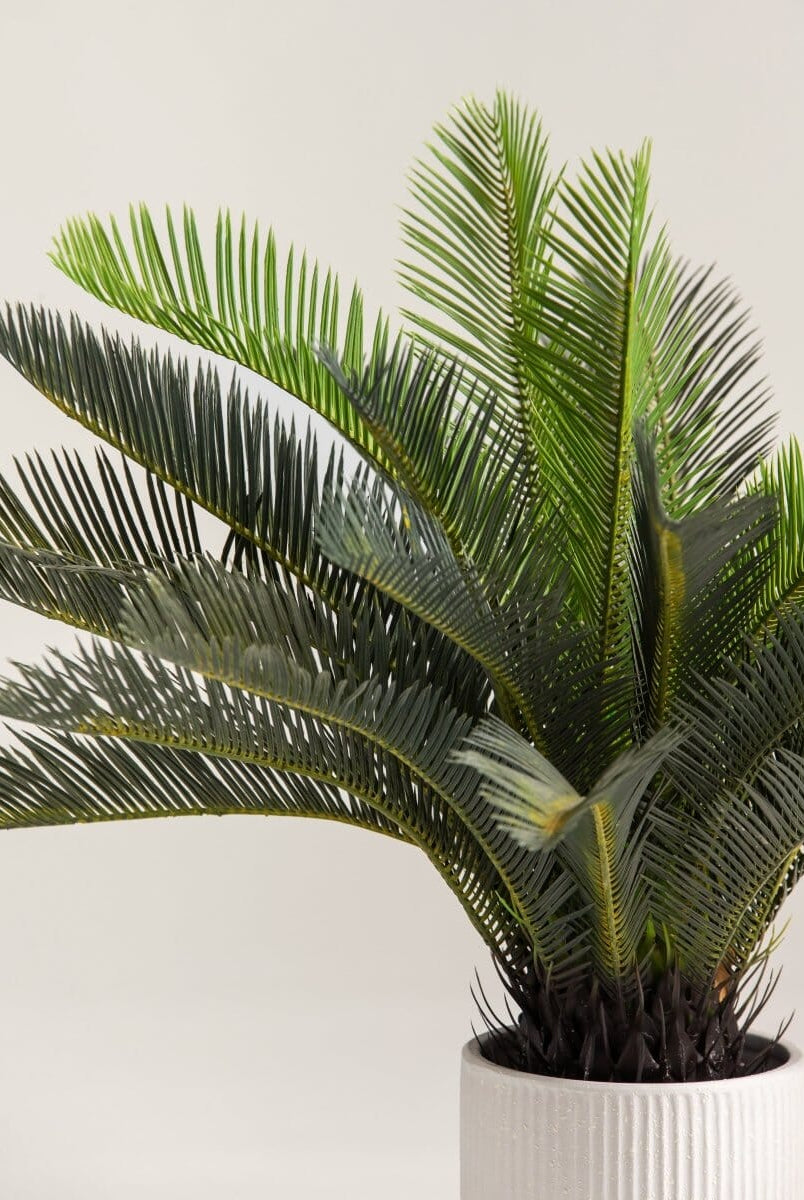 Cycas Revolutaificial Plant (Pot not included)