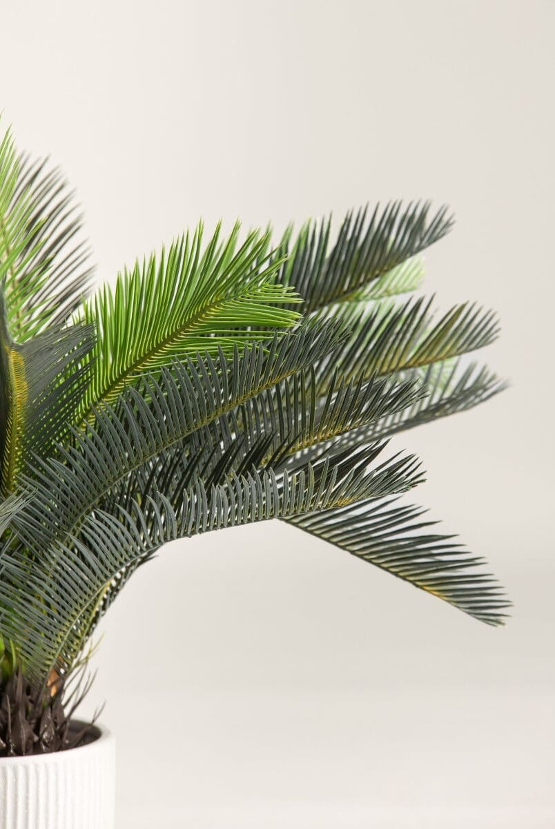 Cycas Revolutaificial Plant (Pot not included)