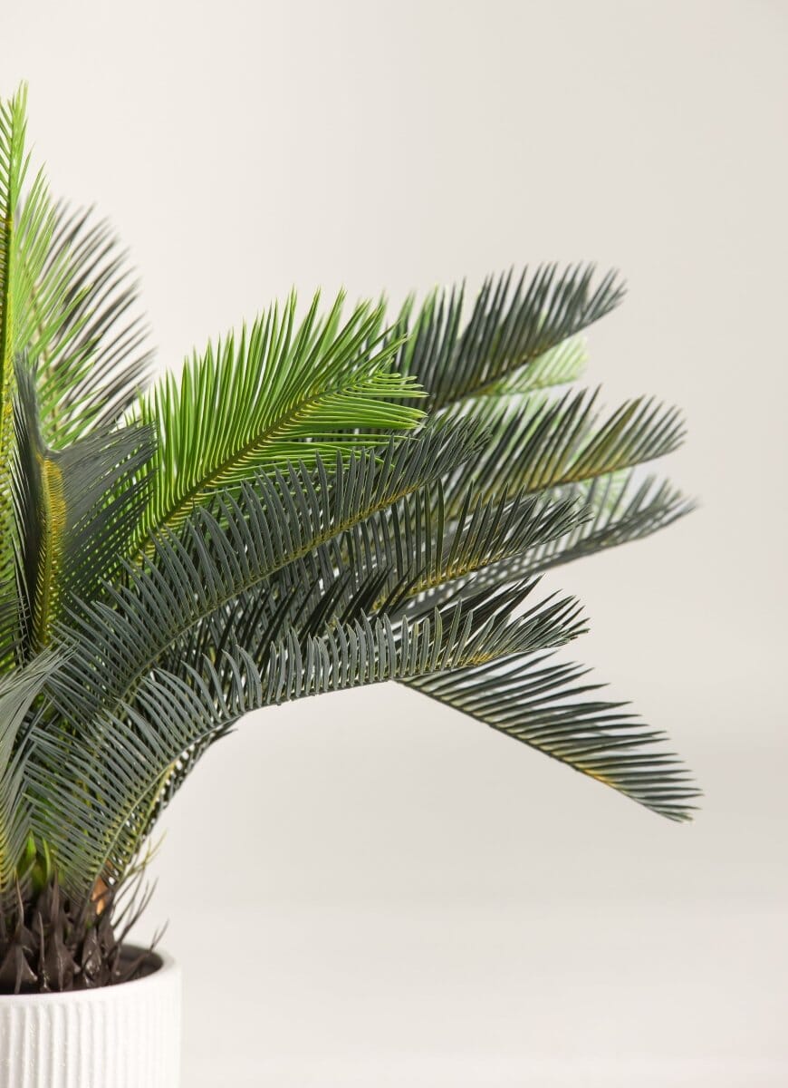 Cycas Revolutaificial Plant (Pot not included)