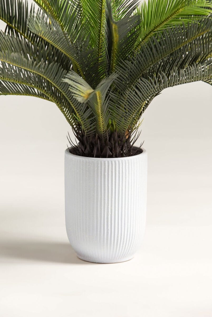 Cycas Revolutaificial Plant (Pot not included)