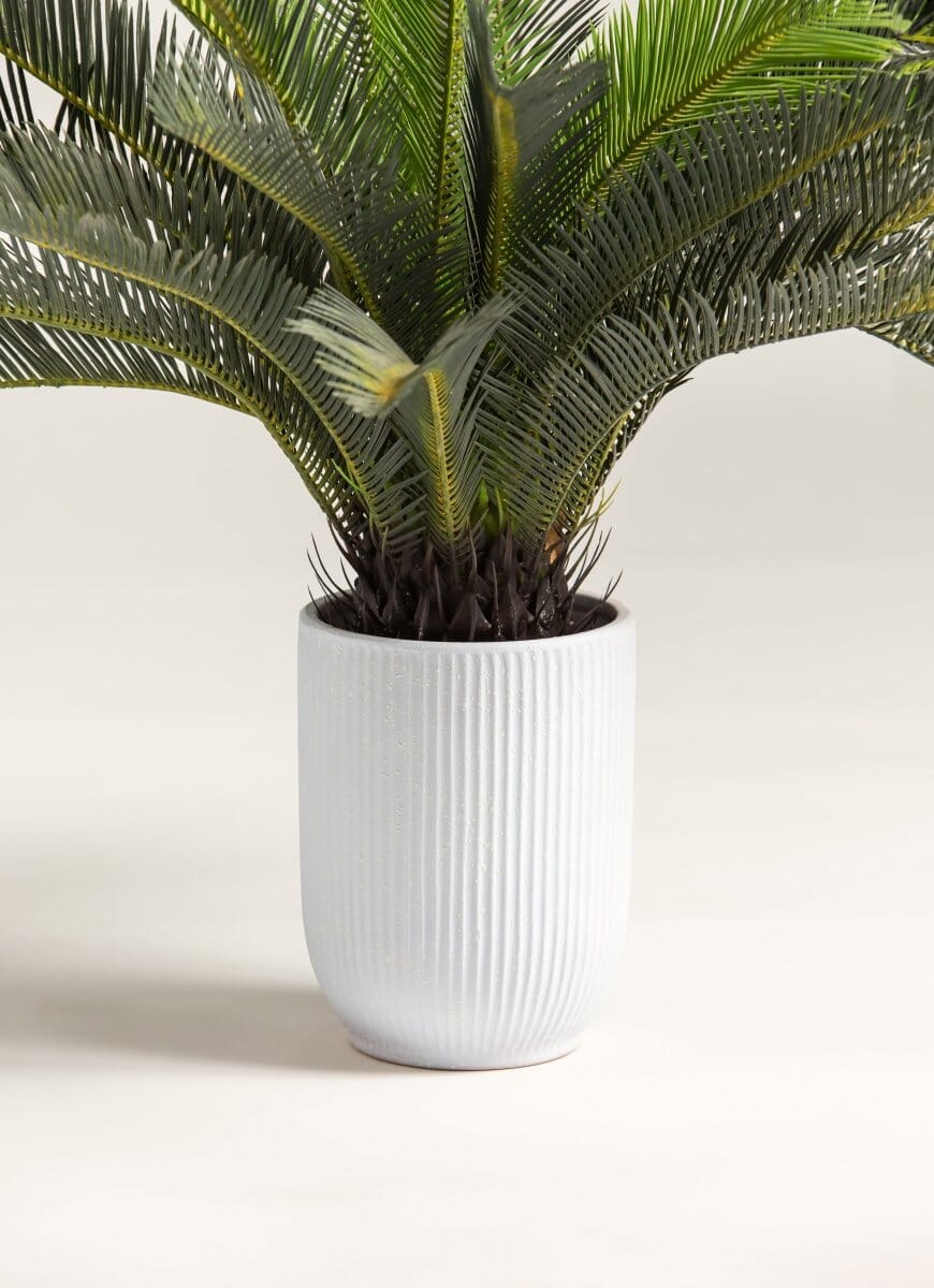 Cycas Revolutaificial Plant (Pot not included)