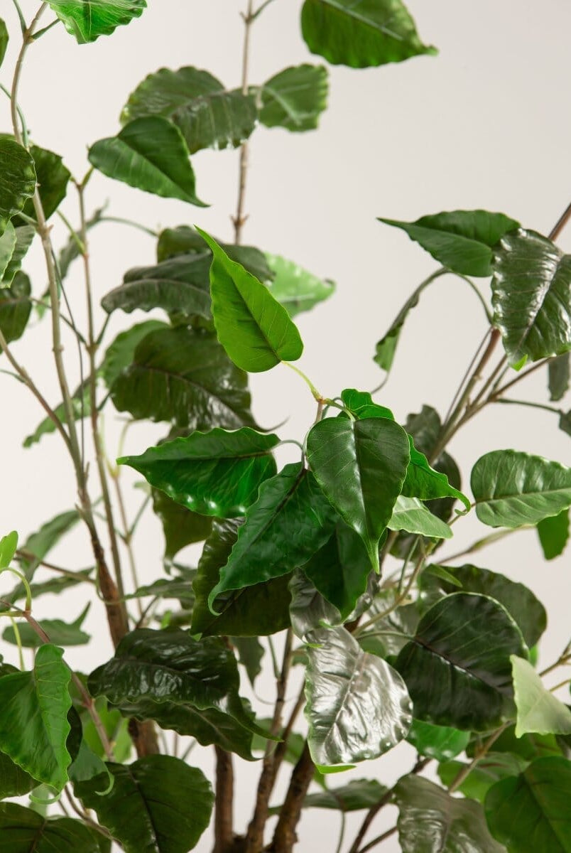 Mini Ficus Benjaminaificial Plant (Pot not included)