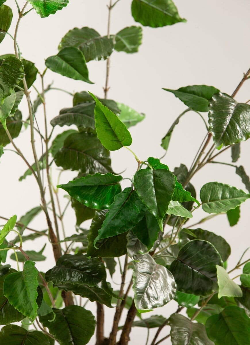 Mini Ficus Benjaminaificial Plant (Pot not included)