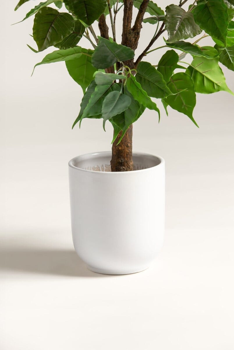 Mini Ficus Benjaminaificial Plant (Pot not included)