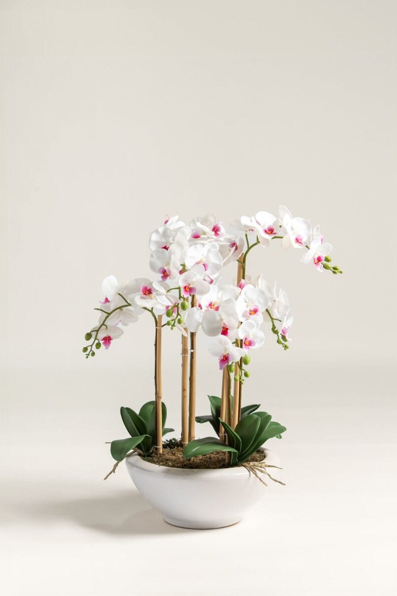 Phalaenopsis Orchid Artificial Plant