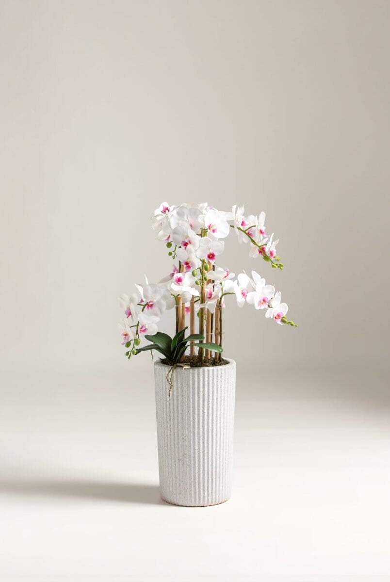 Orchidificial Plant100CM Length x 35CM Width