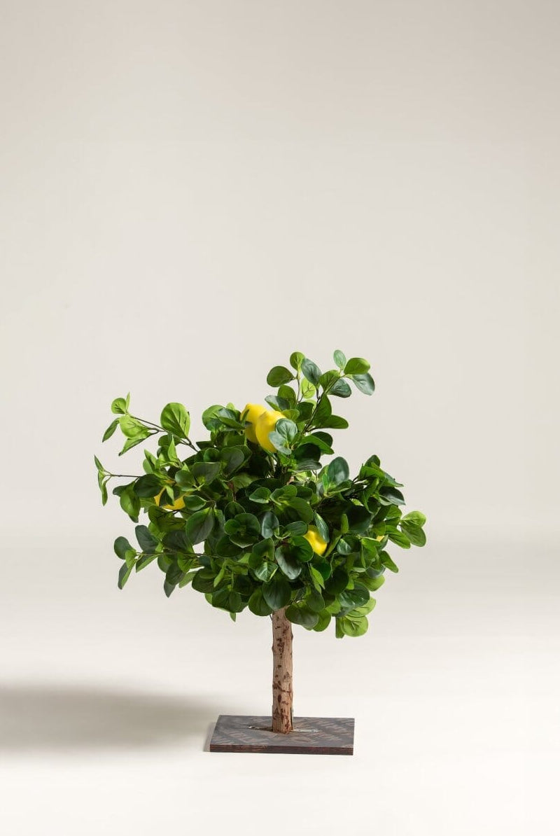 Citrus Limon Artificial Plant