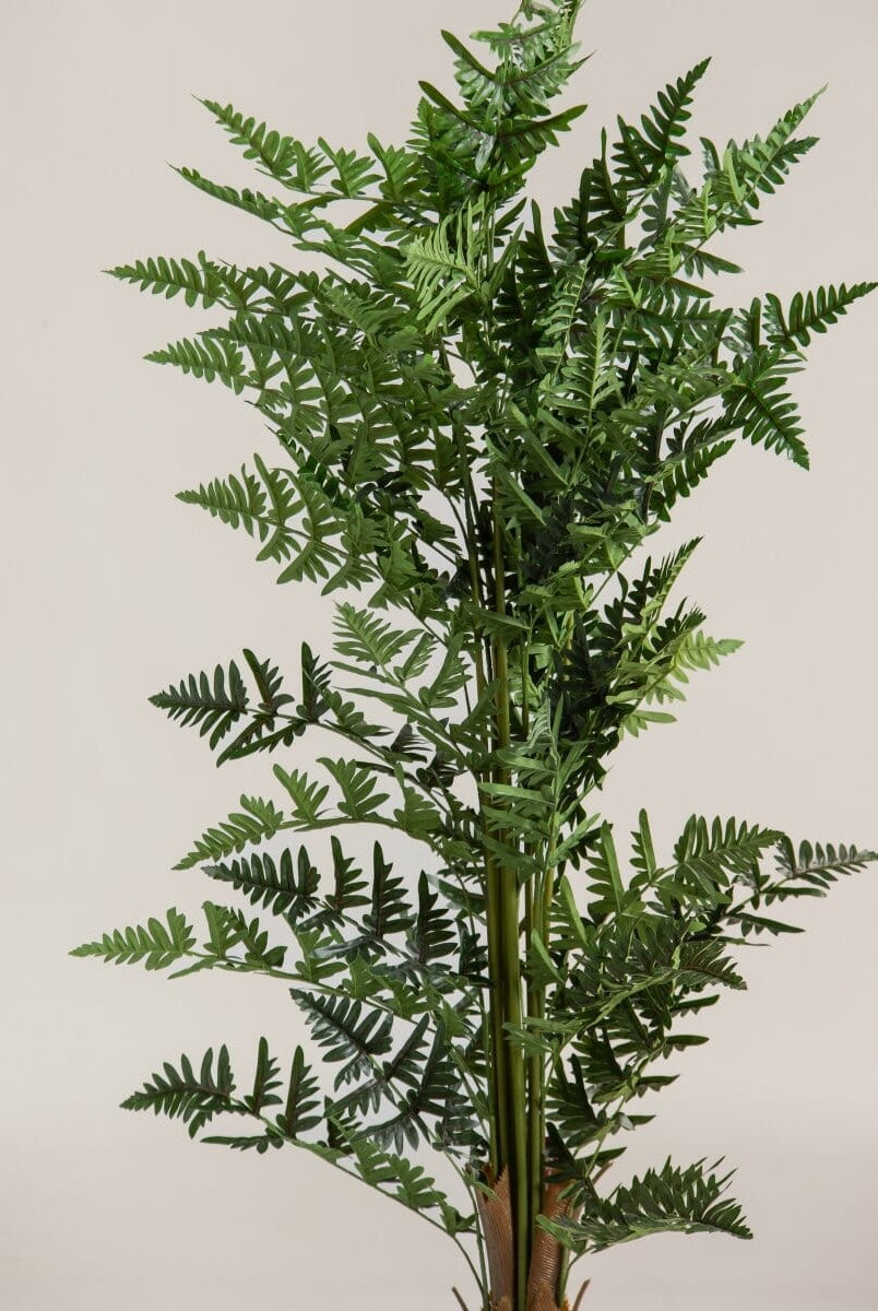 Dicksonia Antarcticaificial Plant (Pot not included)